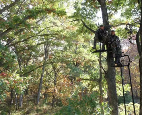 6 ways to bring deer closer to your tree stand | Big Game Tree Stands
