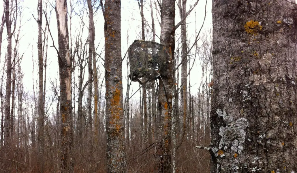 treestand setup safety ground blind concealment archery hunting stand placement