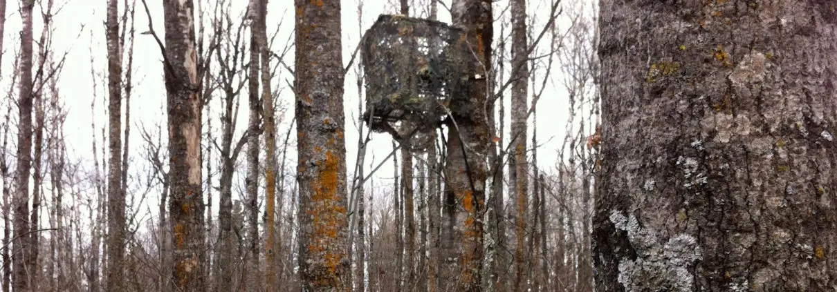 tree stand blinds tree stand concealment | Big Game Treestands