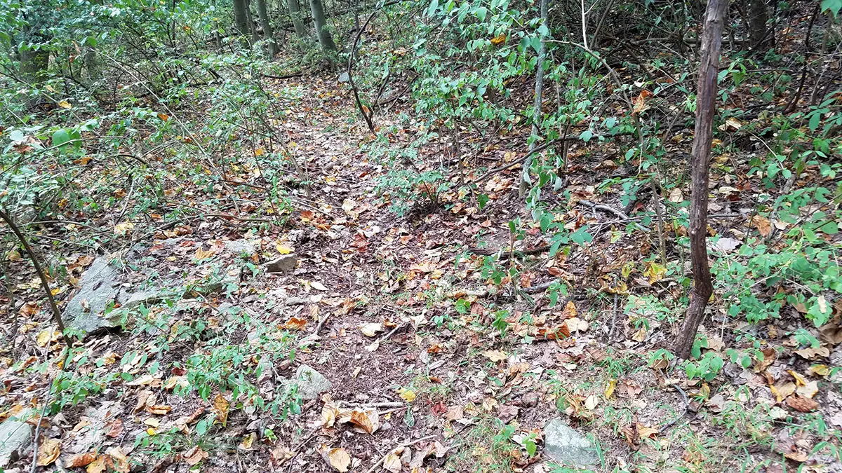 archery hunting blinds 5 mistakes to avoid in October | Big Game Treestands