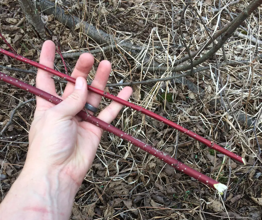 deer-hunting-accessories-for-spring-wildlife-habitat-projects-pic-4