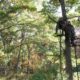6 ways to bring deer closer to your tree stand | Big Game Tree Stands
