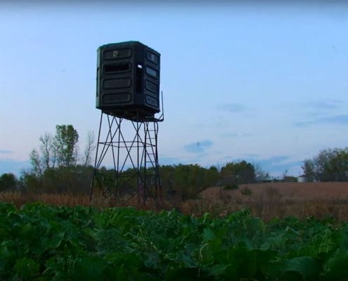 hunting blinds in food plot locations most food plotters miss | Big Game Tree Stands