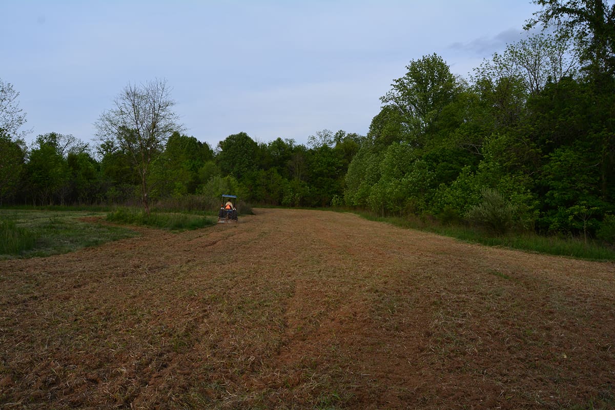 spring food plots and tree stand and hunting blind placement | Big Game Treestands