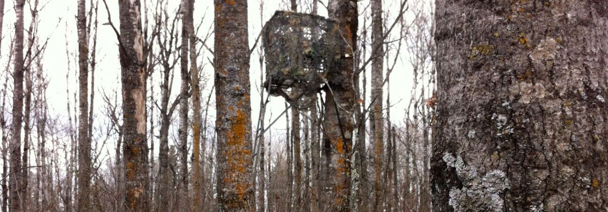 tree stand blinds tree stand concealment | Big Game Treestands