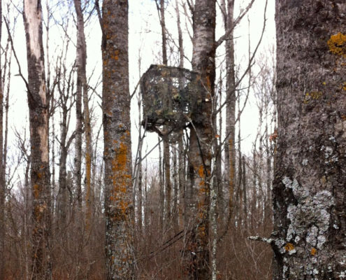 tree stand blinds tree stand concealment | Big Game Treestands