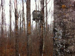 tree stand umbrellas deer hunting foul weather | Big Game Treestands