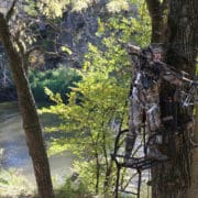 hanging tree stands trim sooting lanes | Big Game Tree Stands