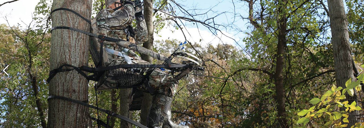 should you hang early season tree stands over deer sign | Big Game Tree Stands