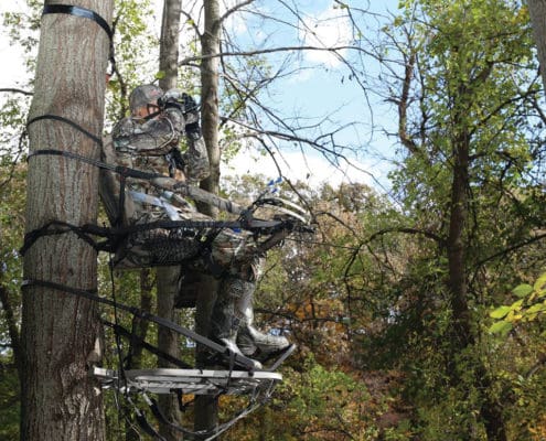 should you hang early season tree stands over deer sign | Big Game Tree Stands