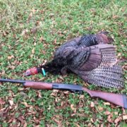 fall turkey hunting from a tree stand | Big Game Treestands