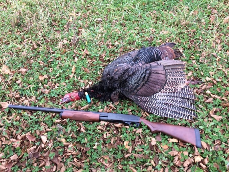 fall turkey hunting from a tree stand Big Game Treestands