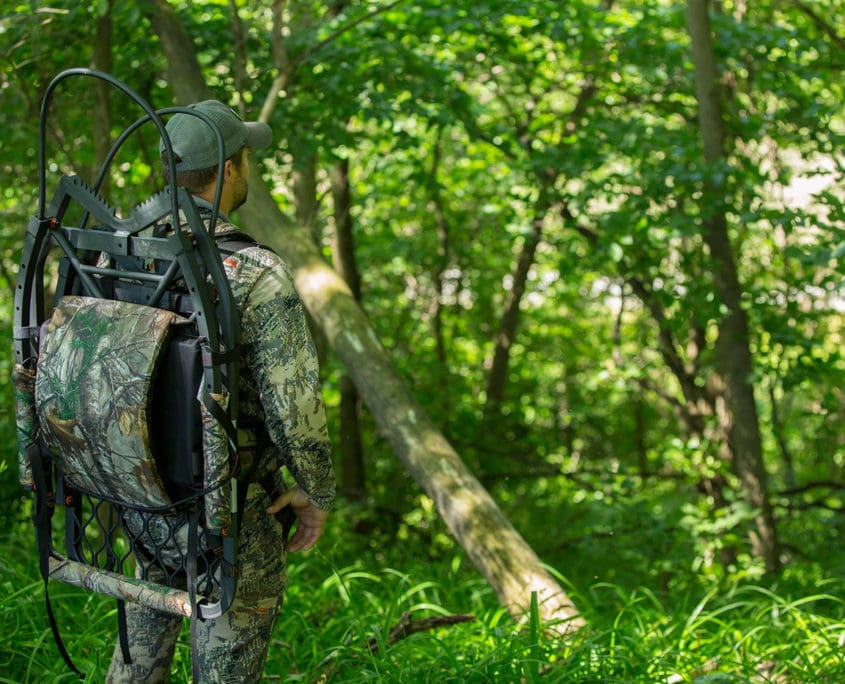 Food Plots in the Woods? Are They Worth it?